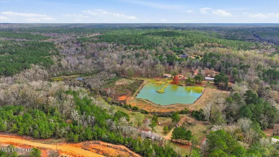 126 Batton Lake Drive, Mendenhall, MS 39114 - Image #2