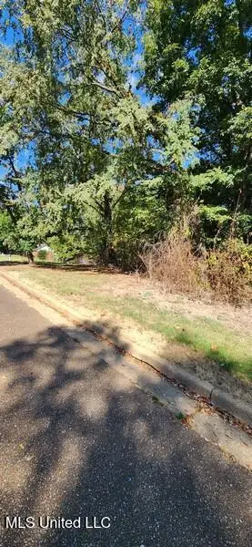 1106 Lakeshore Drive, Southaven, MS 38671 - Image #2