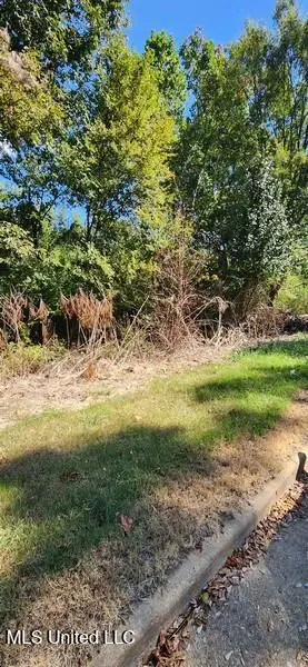 1106 Lakeshore Drive, Southaven, MS 38671 - Image #3