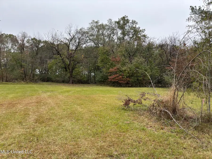 Harris Lane, Madison, MS 39110 - Image #3