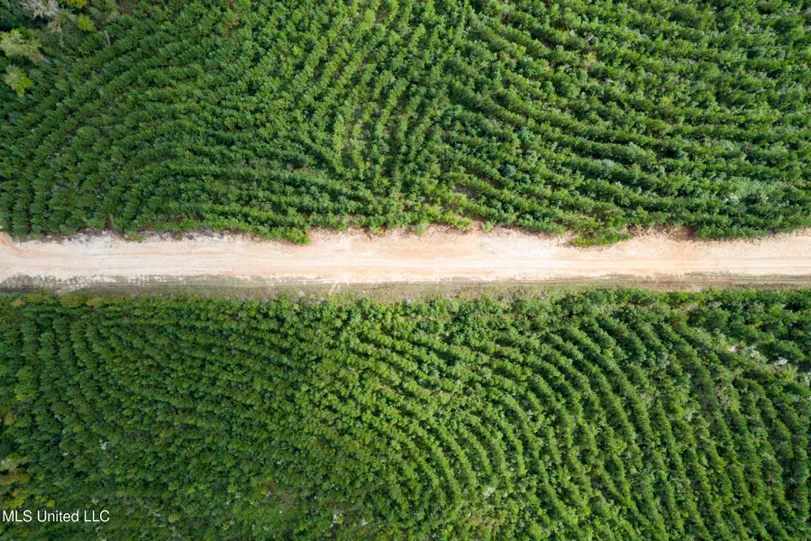 010 Attala Road, McCool, MS 39108 - Image #2