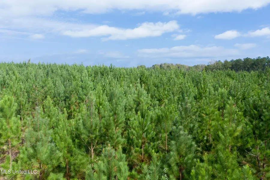 010 Attala Road, McCool, MS 39108 - Image #3