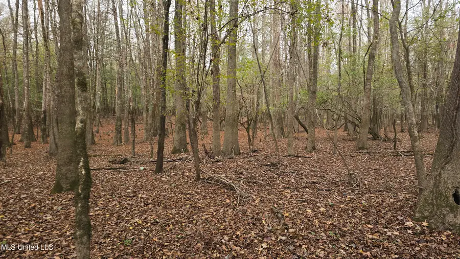 000 Wheatfield Road, Poplarville, MS 39470 - Image #3