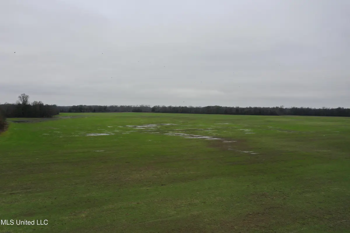 2000 Walnut Lake Road, Dundee, MS 38626 - Image #1