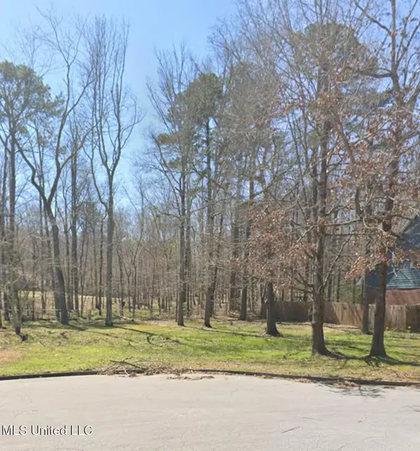 1069 Halton Court, Brandon, MS 39047