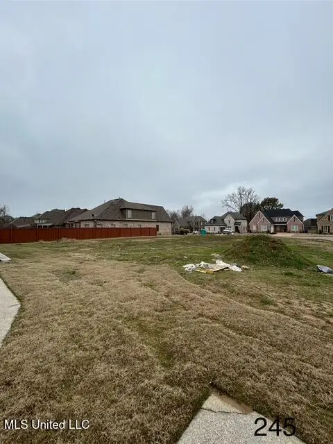 N Bolivar Trail, Olive Branch, MS 38654