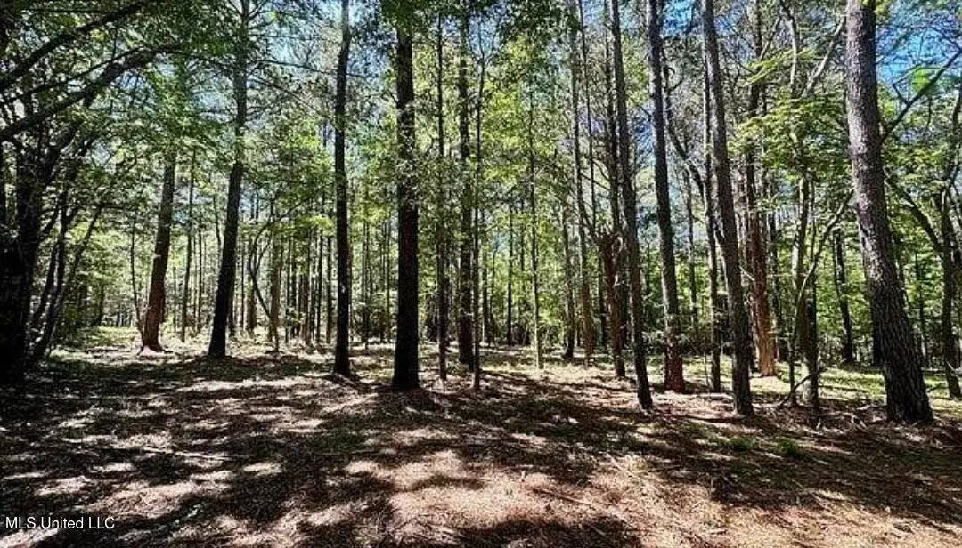 1 Robinson Road, Canton, MS 39046 - Image #1