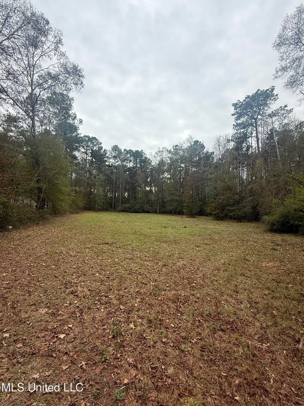 00 Busy Corner Road, Gloster, MS 39638 - Image #1