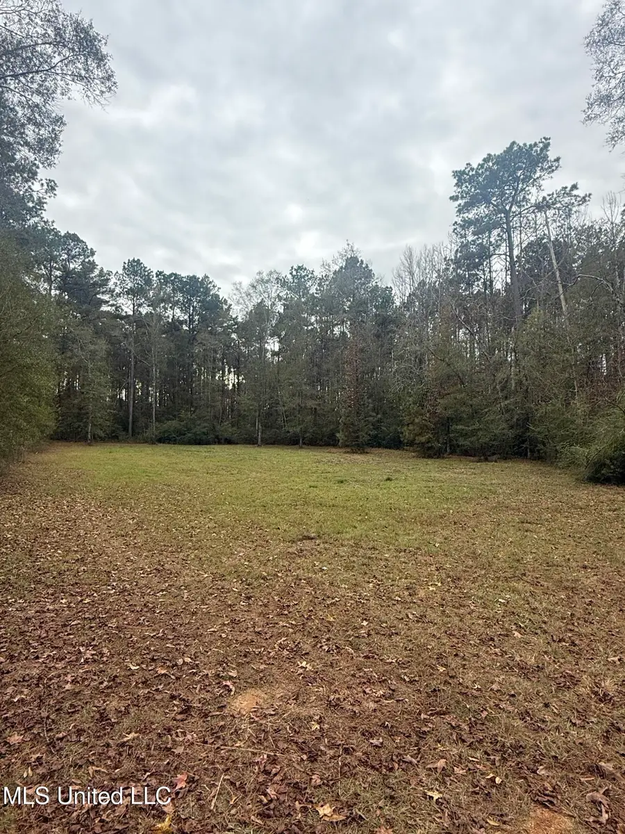 00 Busy Corner Road, Gloster, MS 39638 - Image #2