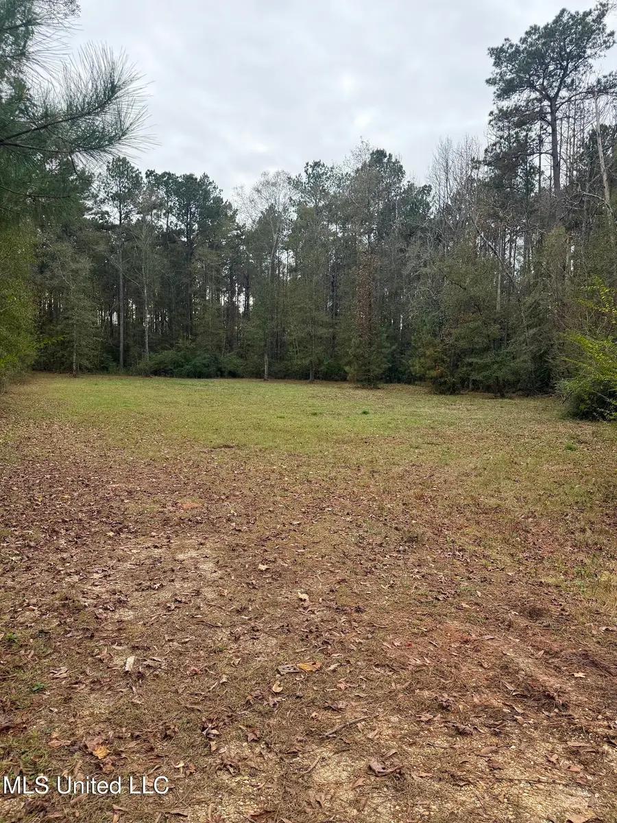 00 Busy Corner Road, Gloster, MS 39638 - Image #3