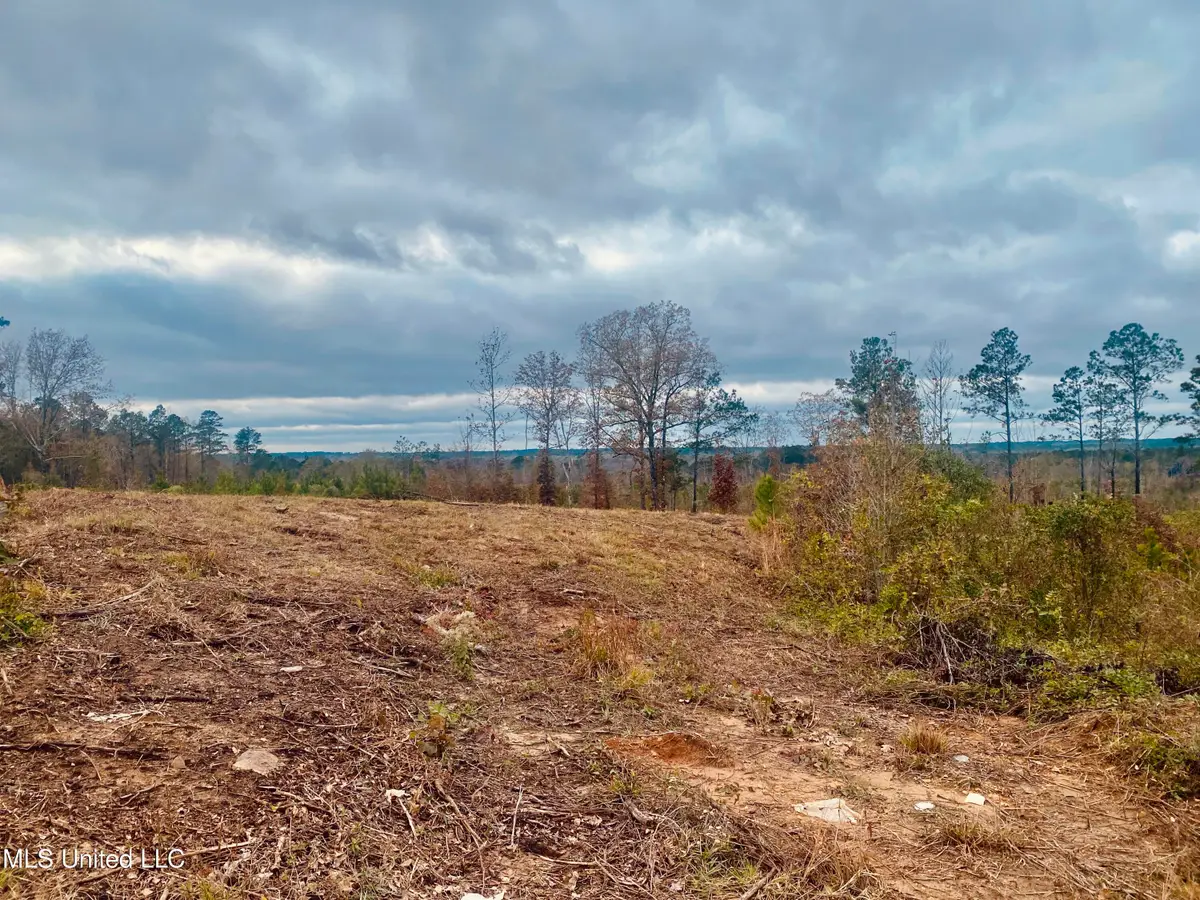 Saint Anne Road, Carthage, MS 39051 - Image #1