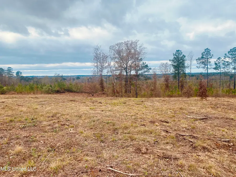 Saint Anne Road, Carthage, MS 39051 - Image #3