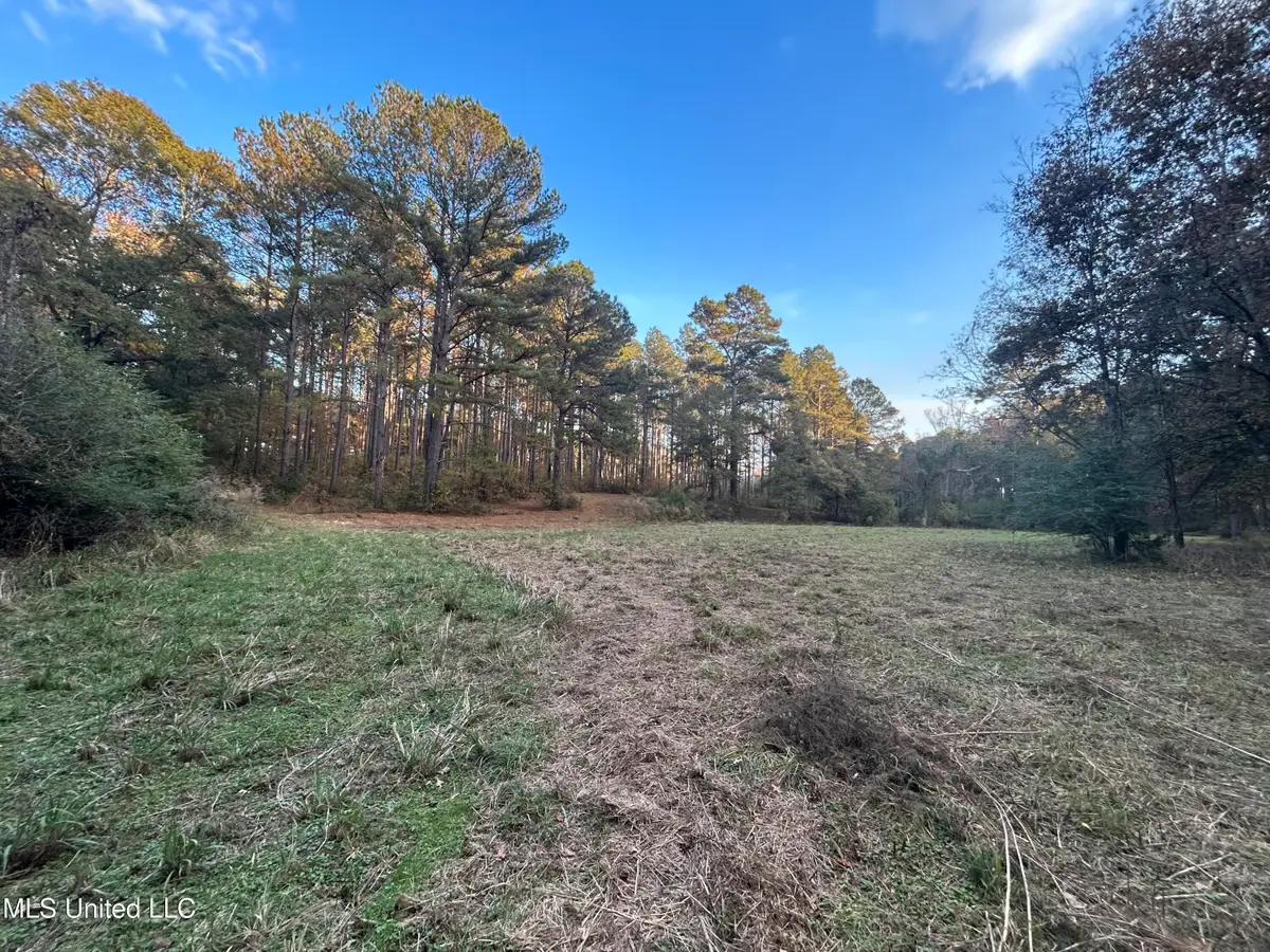 4024 Old Mill Road, Osyka, MS 39657 - Image #1