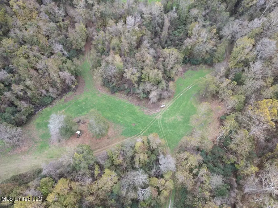 14937 Highway 24 Lane, Woodville, MS 39669 - Image #2