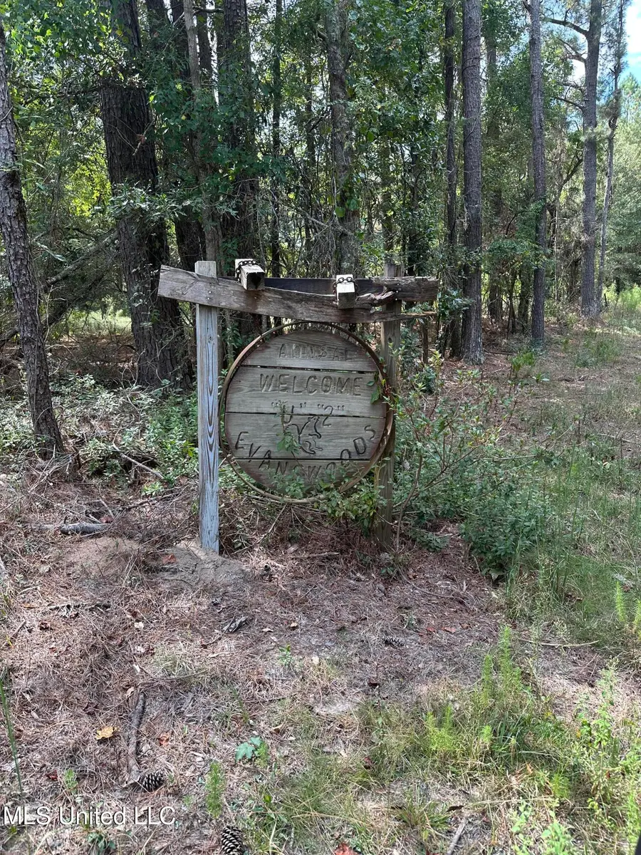 1567 County Road 8, Laurel, MS 39443 - Image #2