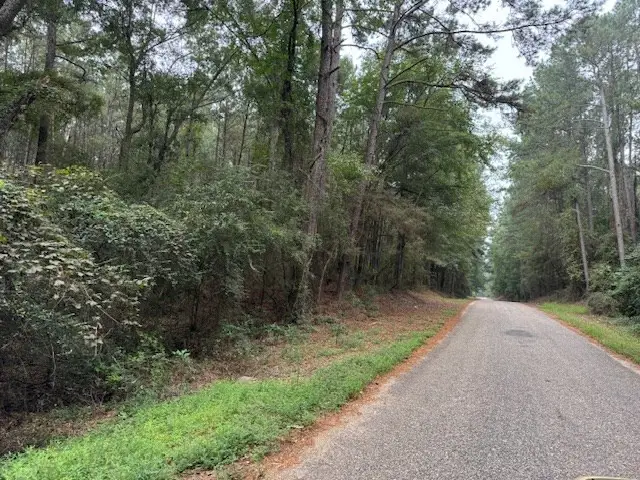 Tbd Cemetery Road, Tylertown, MS 39667 - Image #2