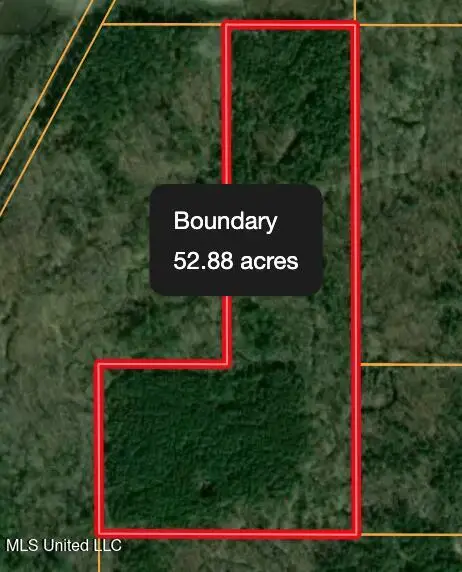 0 Hwy 11, Heidelberg, MS 39439 - Image #2