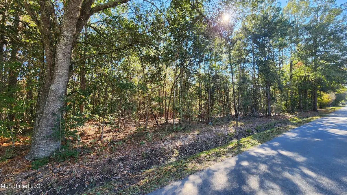 0 Sunflower Street, Bay Saint Louis, MS 39520 - Image #1