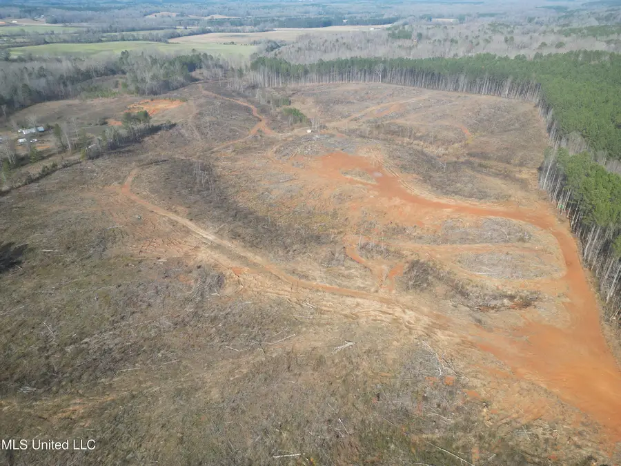 0 Co Rd 209, Walnut, MS 38683 - Image #2