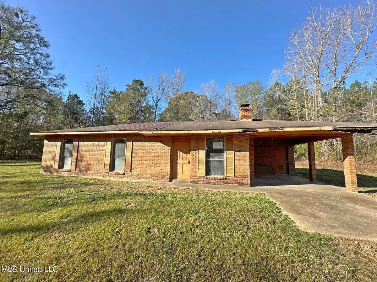 10009 Red Lick Road, Lorman, MS 39096 - Image #1
