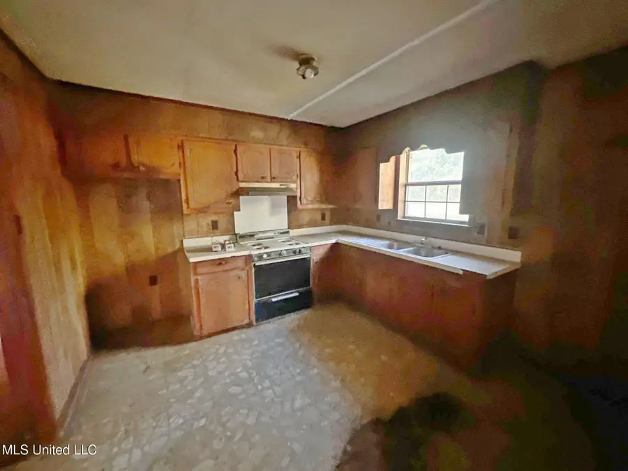 10009 Red Lick Road, Lorman, MS 39096 - Image #3