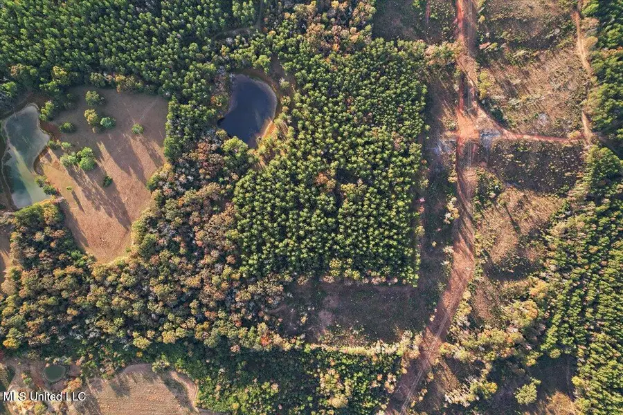 00 Anse Reed Road, Magee, MS 39111 - Image #2