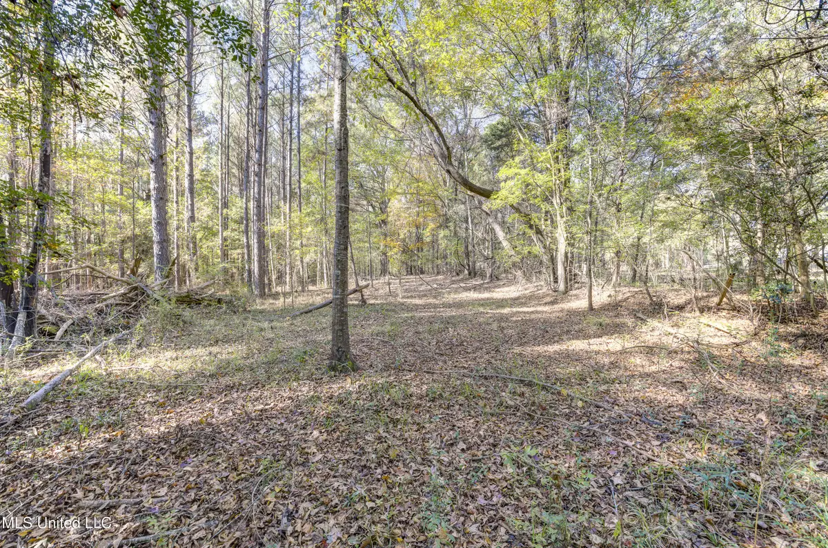 Brenmar Street, Brandon, MS 39042 - Image #1