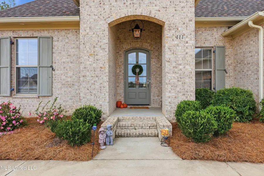 111 Camden Lake Drive, Madison, MS 39110 - Image #3