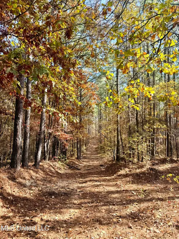 0 Laws Hill Road, Holly Springs, MS 38635