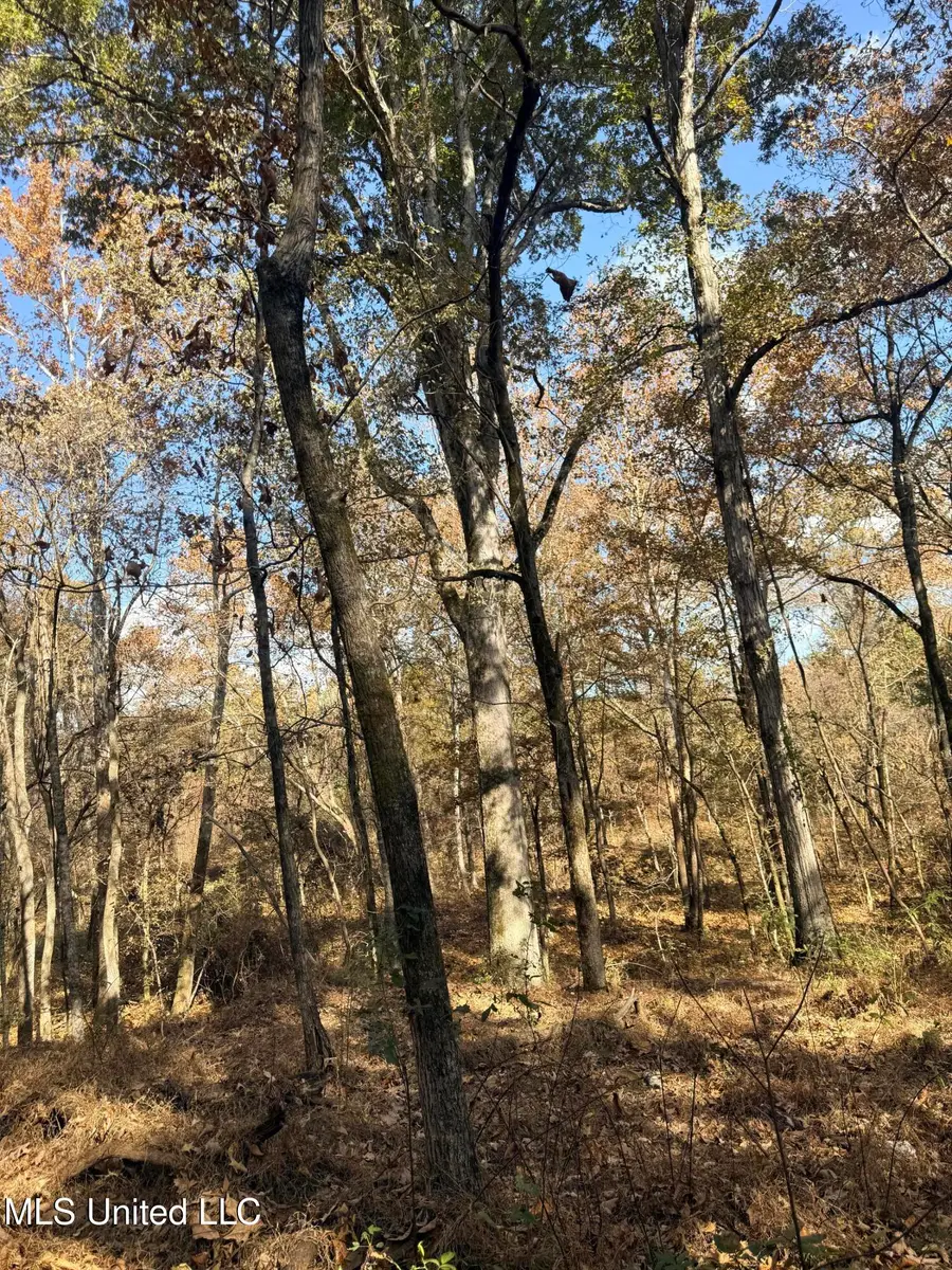 0 Laws Hill Road, Holly Springs, MS 38635 - Image #2