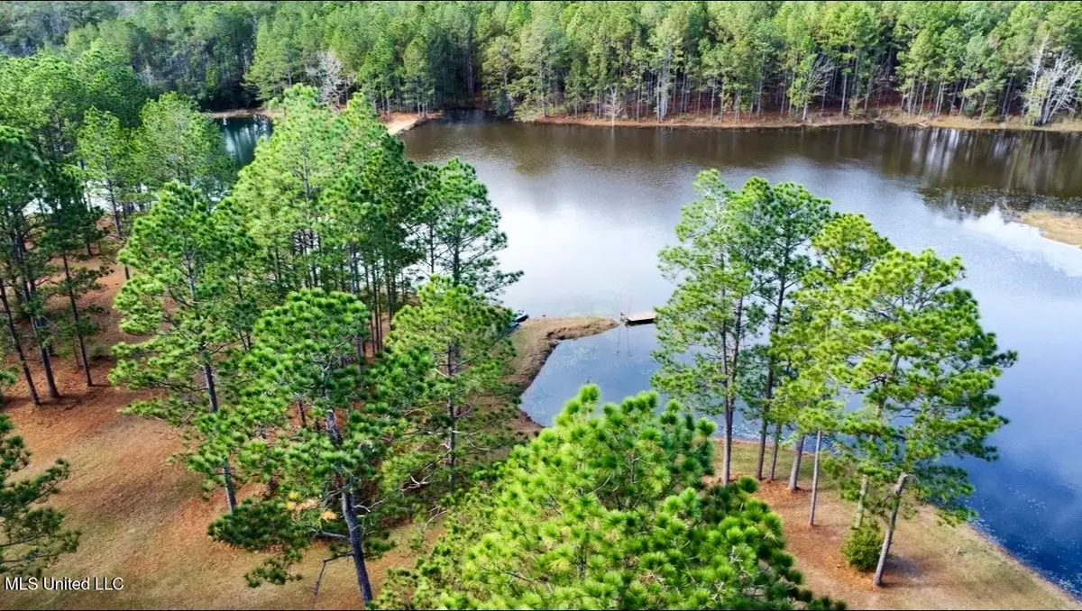 3947 Purvis Columbia Road, Lumberton, MS 39455 - Image #1