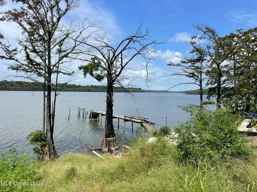 980 Moon Lake Road, Dundee, MS 38626 - Image #2