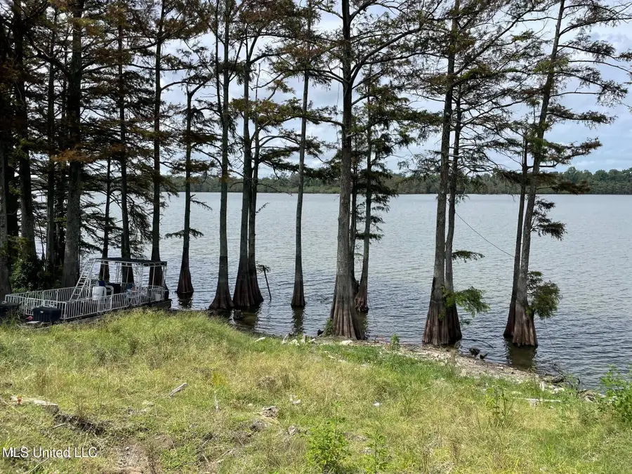 980 Moon Lake Road, Dundee, MS 38626 - Image #3