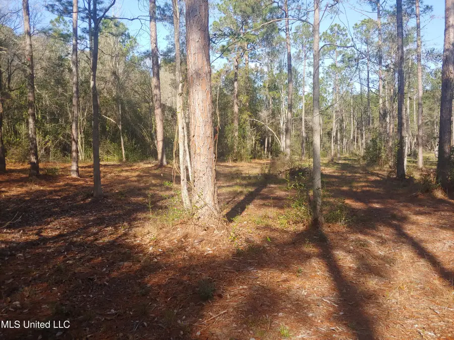 Nhn E Crazy Horse Drive, Kiln, MS 39556 - Image #3