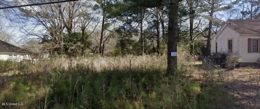 215 S Monroe Street, Canton, MS 39046 - Image #3