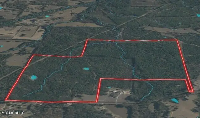 Tank Road, Crystal Springs, MS 39059 - Image #2