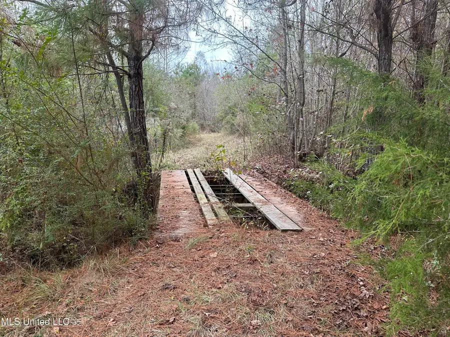 Tank Road, Crystal Springs, MS 39059 - Image #3