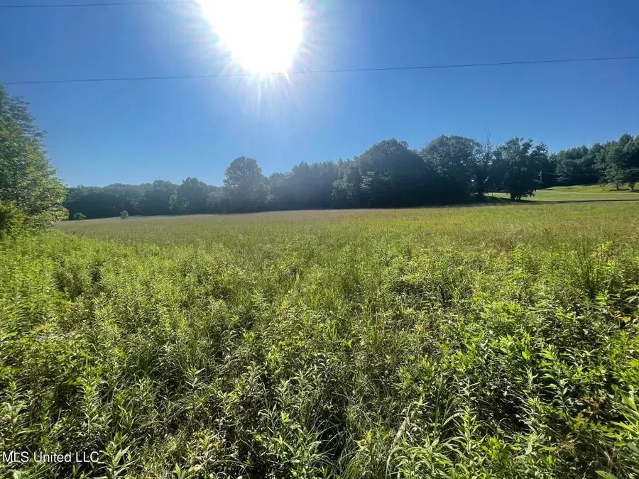 Mcmaster Road, Sarah, MS 38665 - Image #2