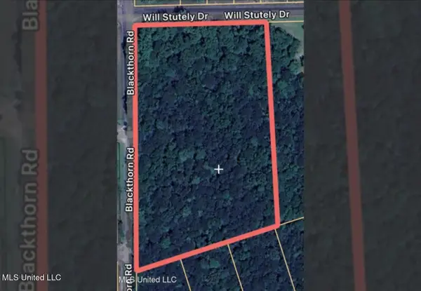 0 Will Stutely Drive, Brandon, MS 39042