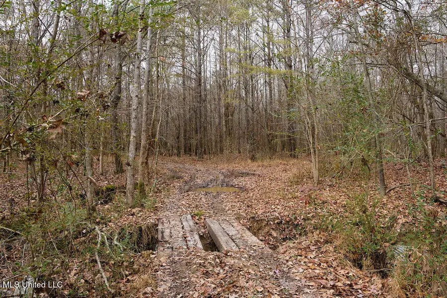 000 Maddox Road, Ackerman, MS 39735 - Image #3