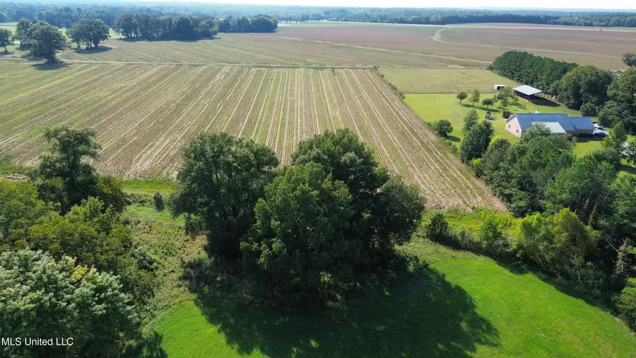 987 Sandhill, Lena, MS 39094 - Image #2