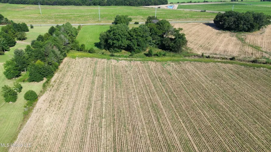 987 Sandhill, Lena, MS 39094 - Image #3