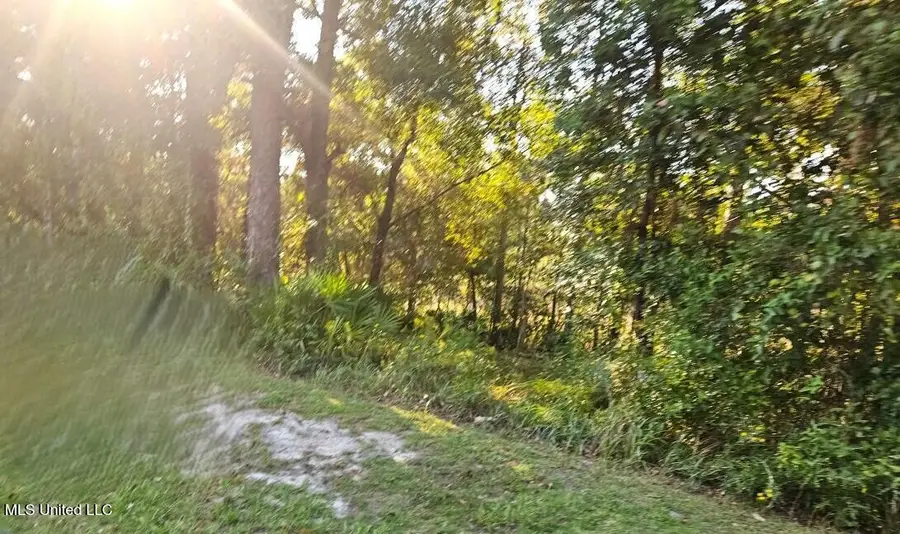 0 Sandpiper Lane, Gautier, MS 39553 - Image #3