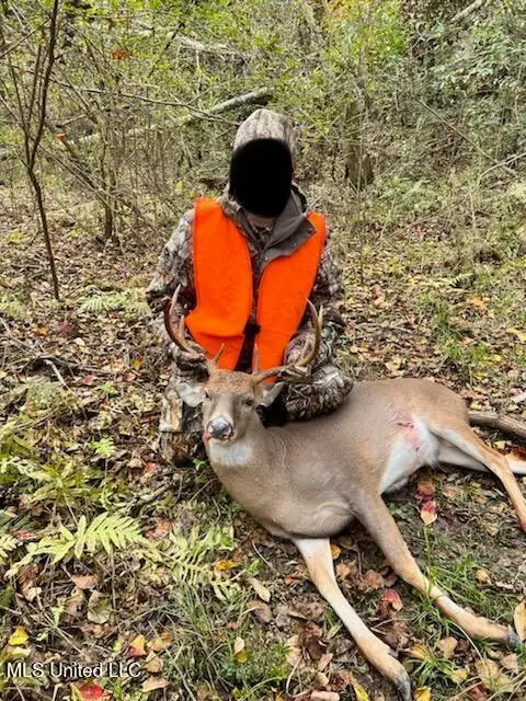 3032 Osyka Progress Road, Osyka, MS 39657 - Image #1