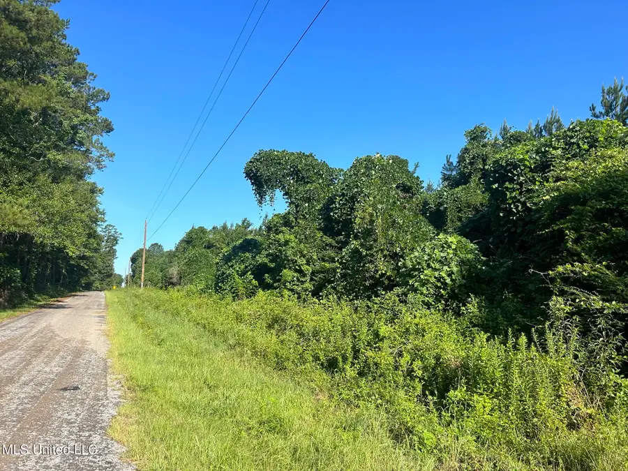 SE Mccullough Road, Bogue Chitto, MS 39629 - Image #2