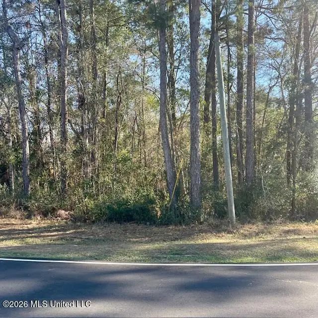 0 Bayou Drive, Diamondhead, MS 39525 - #3