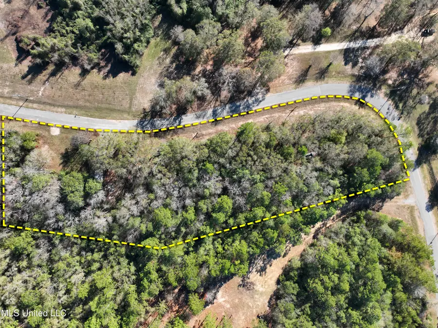 18343 Bonvillain Drive, Saucier, MS 39574 - Image #3