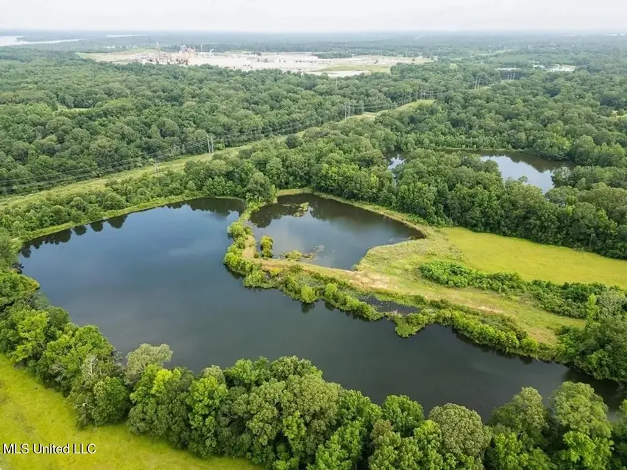 299 W Mount Pleasant Zachary Road, Zachary, LA 70791 - Image #2