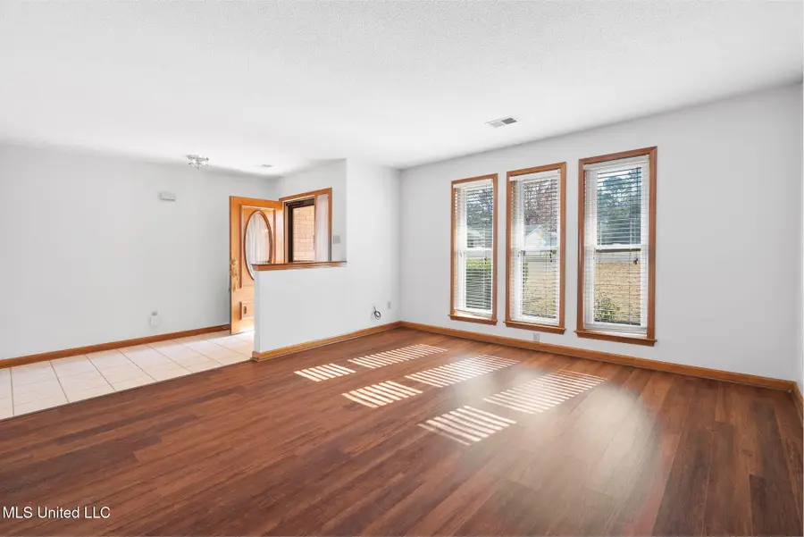 4020 Maryan Court, Nesbit, MS 38651 - Image #3