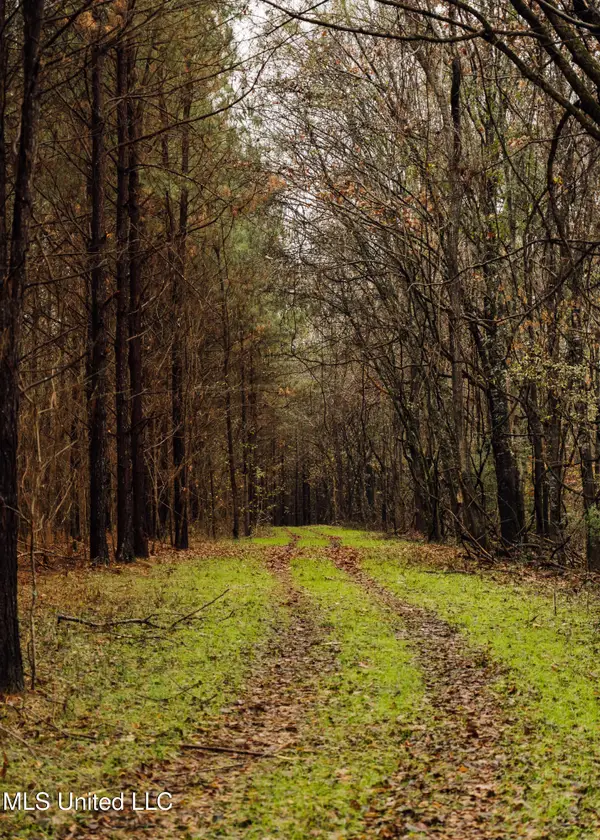 745 Black Jack Road, Benton, MS 39039